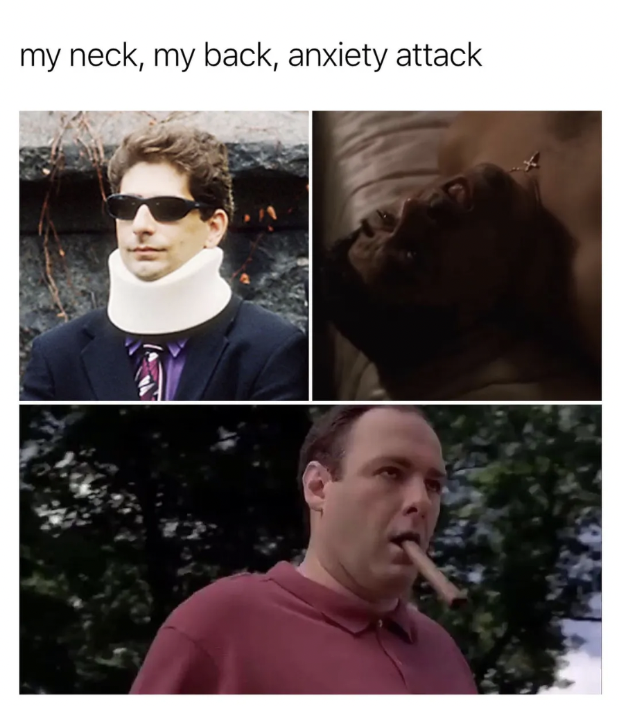 The Sopranos Memes - photo caption - my neck, my back, anxiety attack