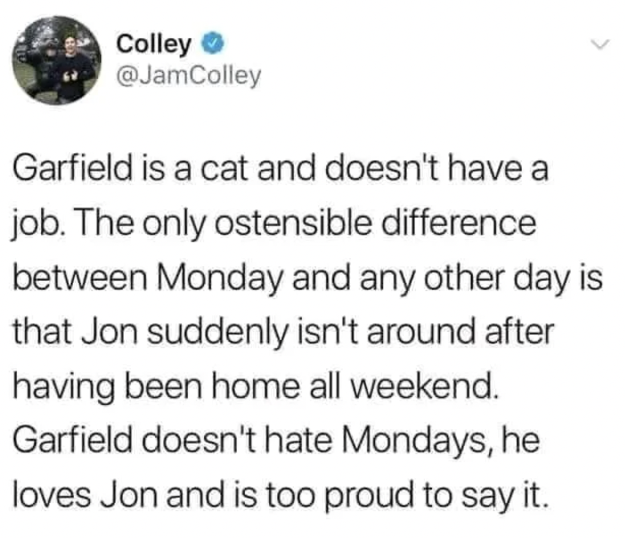 Pictures that techincally tell the truth - garfield doesn t hate mondays - Garfield is a cat and doesn't have a job. The only ostensible difference between Monday and any other day is that Jon suddenly isn't around after having been home all weekend. Garf