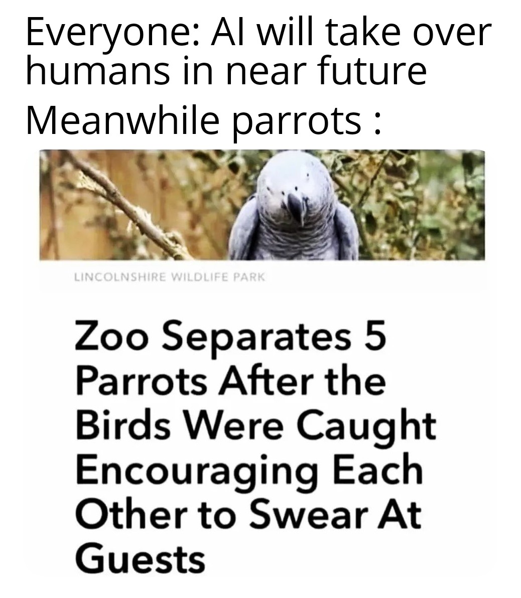 funny memes - Friend group - Everyone humans in near future Meanwhile parrots Al will take over Lincolnshire Wildlife Park Zoo Separates 5 Parrots After the Birds Were Caught Encouraging Each Other to Swear At Guests