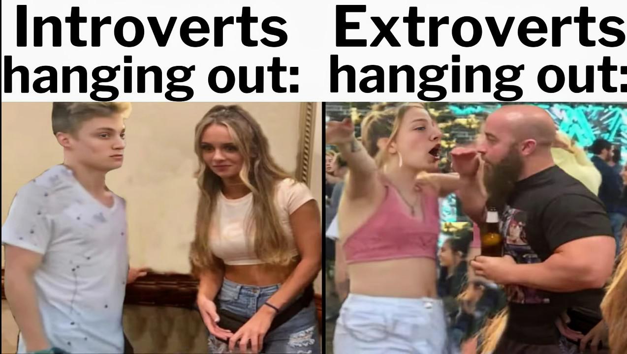 funny memes - blond - Introverts Extroverts hanging out hanging out
