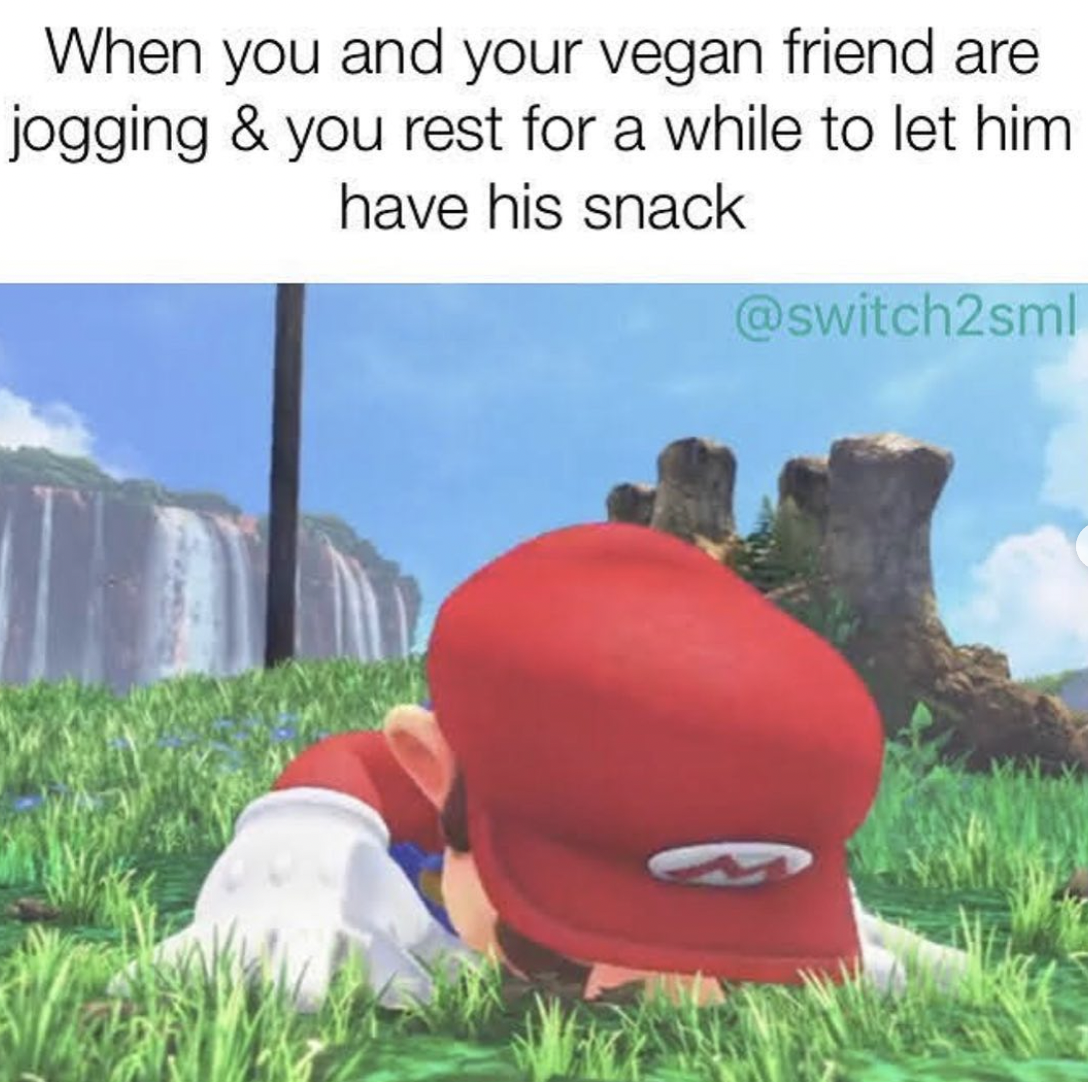 Nintendo memes - super mario odyssey song - When you and your vegan friend are jogging & you rest for a while to let him have his snack