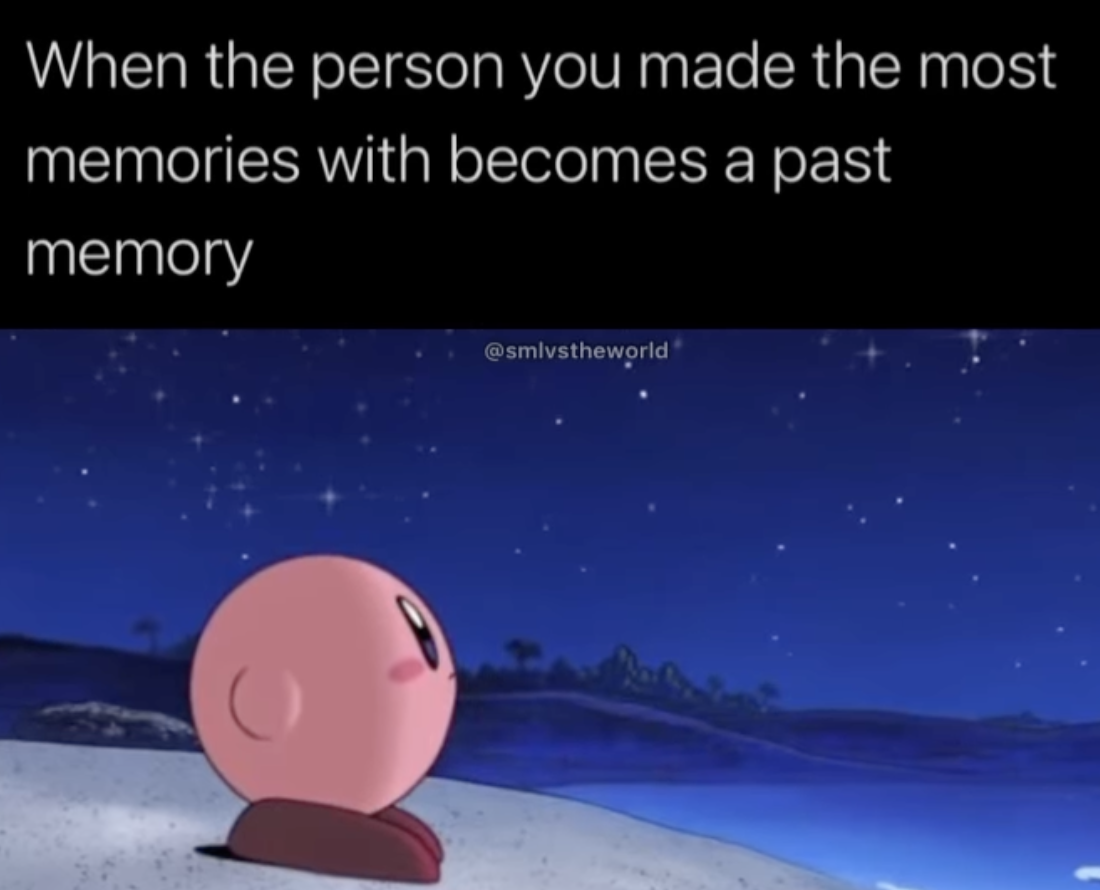Nintendo memes - peace messages - When the person you made the most memories with becomes a past memory