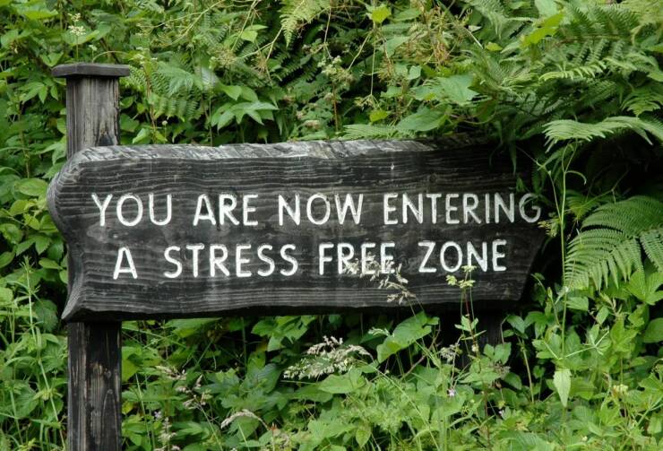 daily dose of random pics - you are now entering a stress free zone - You Are Now Entering. A Stress Free, Zone