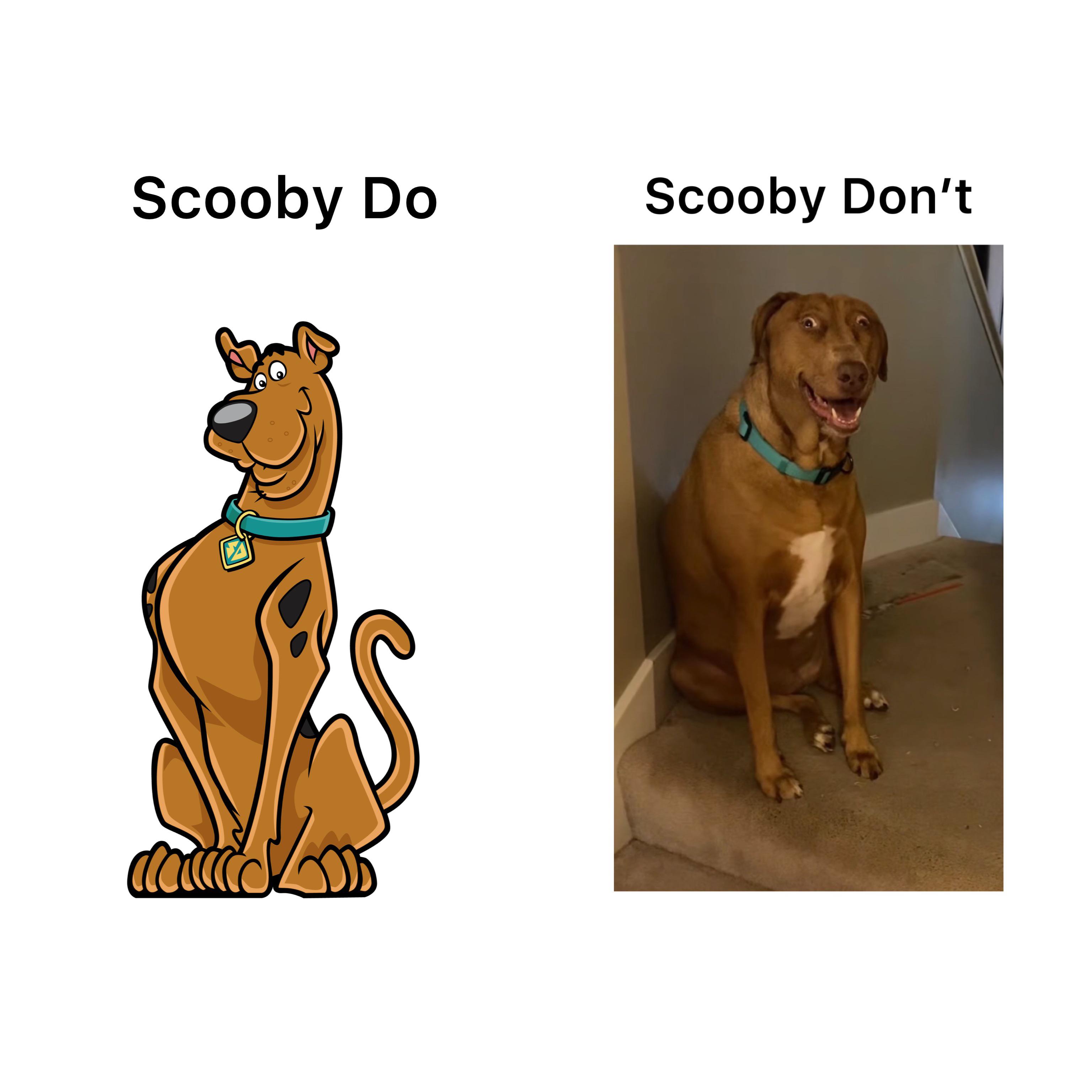 Monday Morning Randomness - FiGPiN - Scooby Do do Scooby Don't