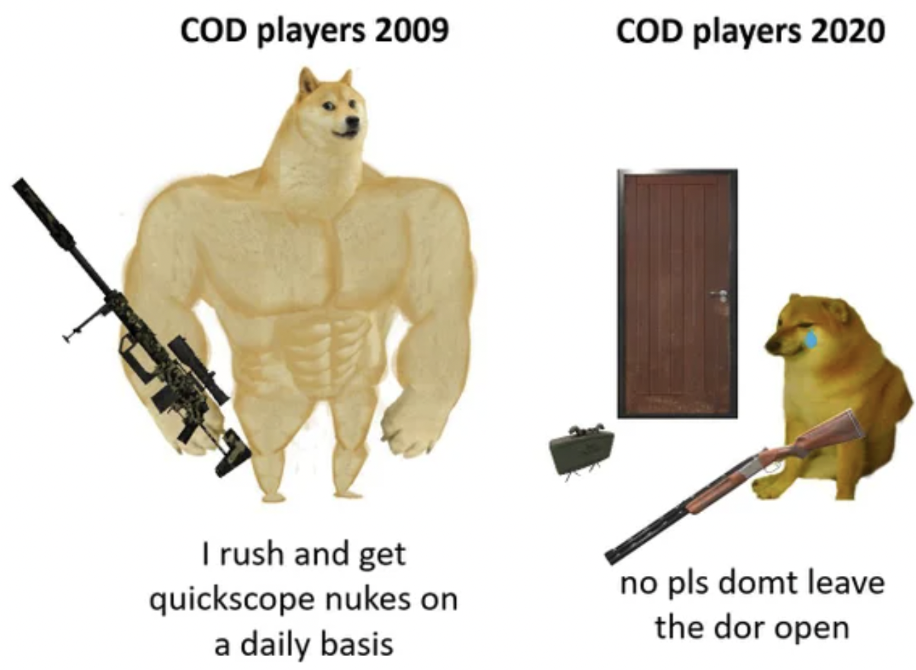 Call of Duty Memes - swole dog meme - Cod players 2009 I rush and get quickscope nukes on a daily basis Cod players 2020 no pls domt leave the dor open