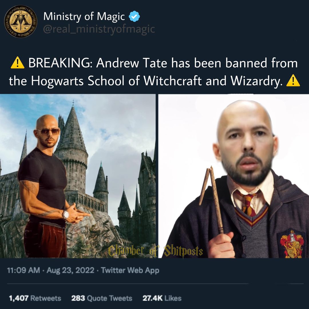 Harry Potter memes - islands of adventure - Excus Ignorantia Wanan Ministry of Magic A Breaking Andrew Tate has been banned from the Hogwarts School of Witchcraft and Wizardry. A amber Shitposts . Twitter Web App 1,407 283 Quote Tweets