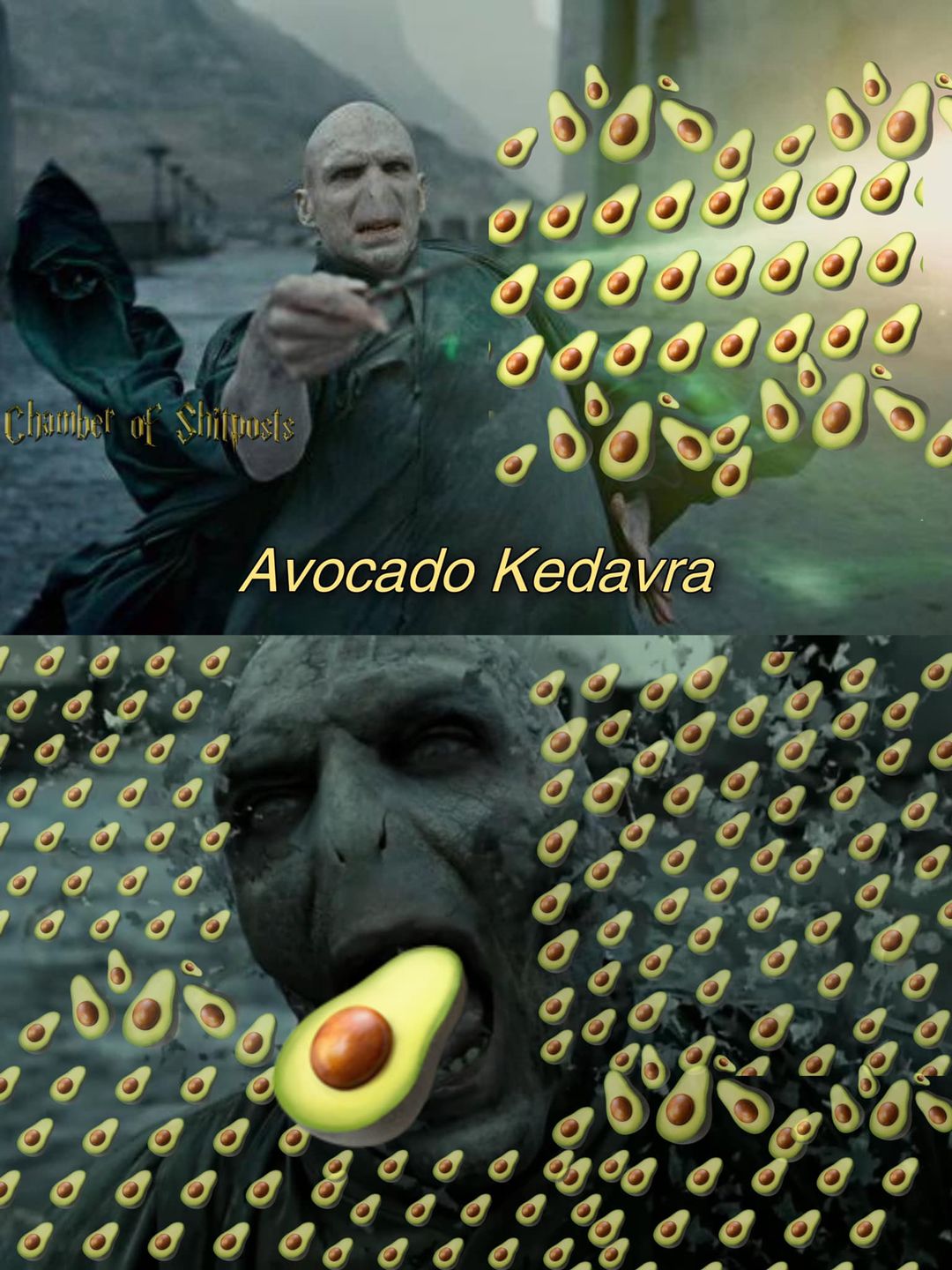 Harry Potter memes - poster - Chamber of Shitposts 10000 a. gaa 80.00 abdbgrade Avocado Kedavra O 000.
