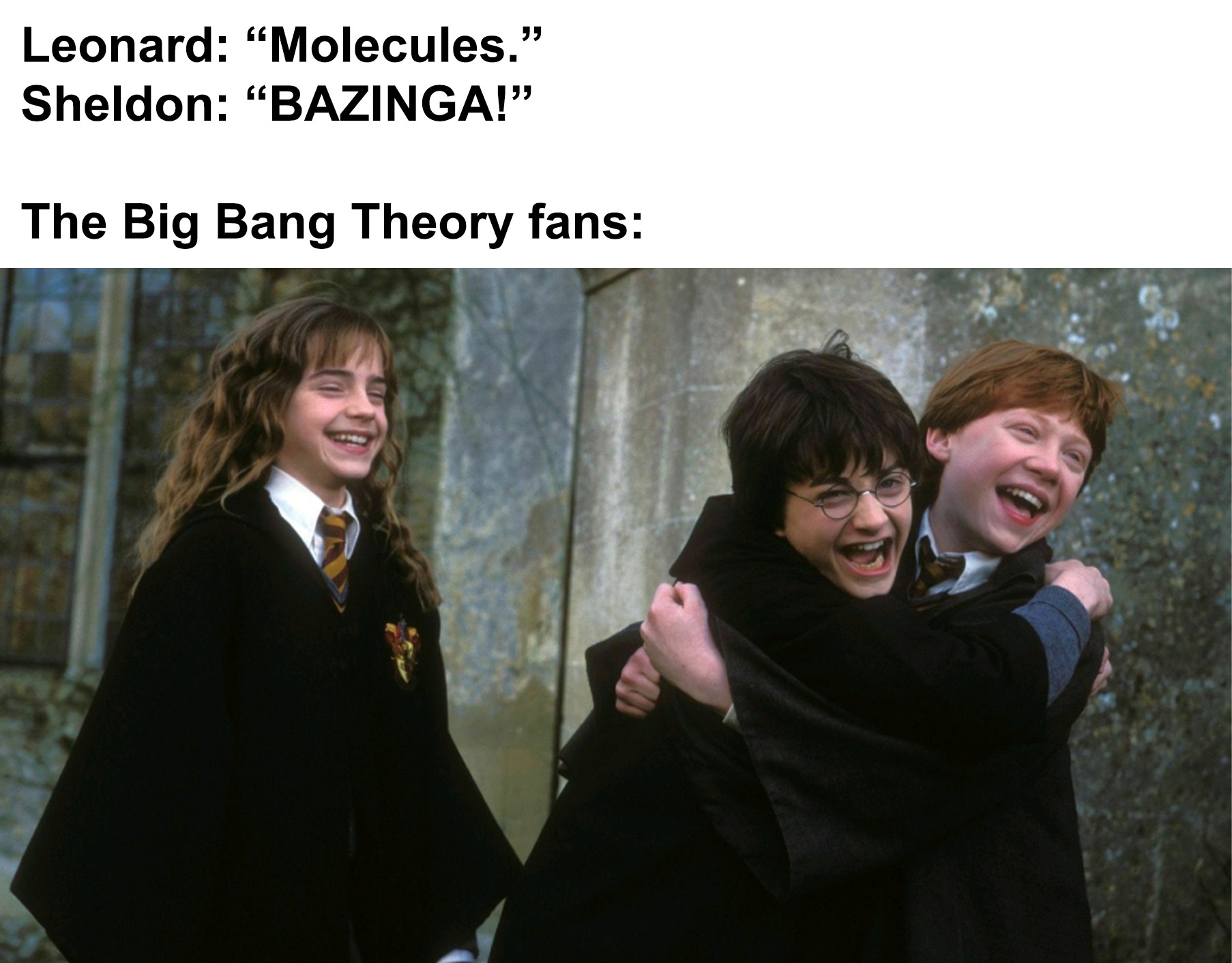 Harry Potter memes - harry potter good - Leonard "Molecules." Sheldon "Bazinga!" The Big Bang Theory fans