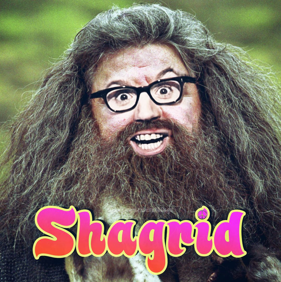 Harry Potter memes - beard - 0001 Shagrid
