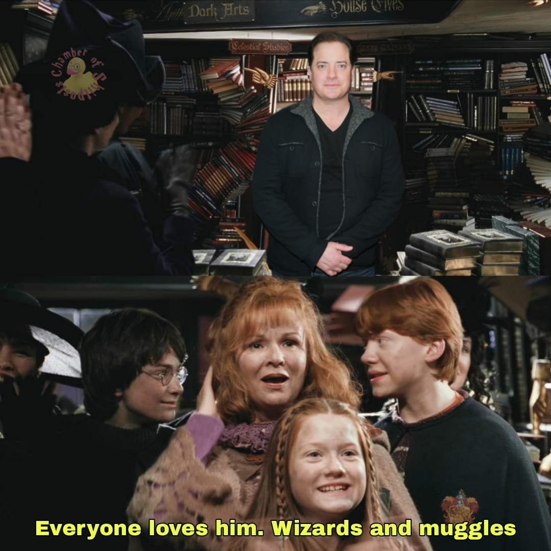 Harry Potter memes - event - Chamber Frith Dark Arts Celestial Studies Dollse Sives Everyone loves him. Wizards and muggles