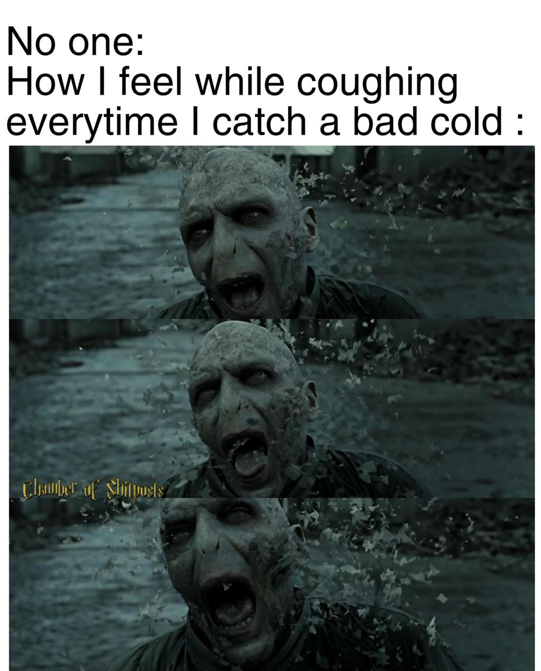 Harry Potter memes - water - No one How I feel while coughing everytime I catch a bad cold Chamber of Shitposts