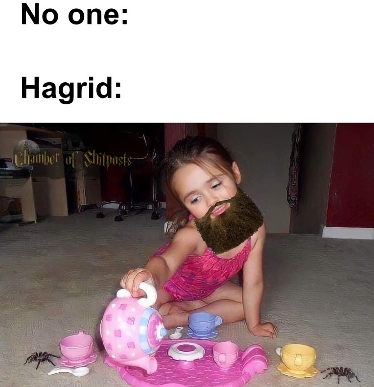Harry Potter memes - spider tea party - No one Hagrid Chamber of Shitposts