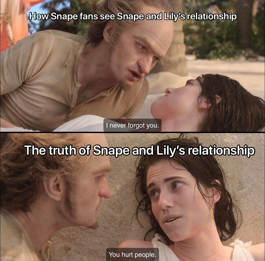 Harry Potter memes - mouth - 85 How Snape fans see Snape and Lily's relationship I never forgot you. The truth of Snape and Lily's relationship You hurt people.