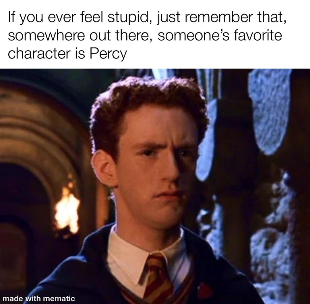 Harry Potter memes - percy weasley - If you ever feel stupid, just remember that, somewhere out there, someone's favorite character is Percy made with mematic