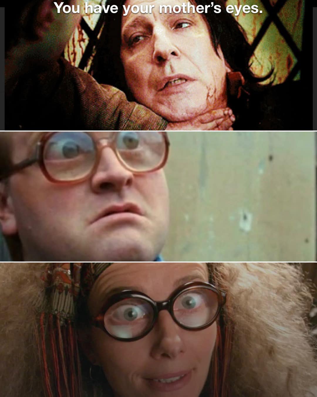 Harry Potter memes - bubbles trailer park boys - You have your mother's eyes.