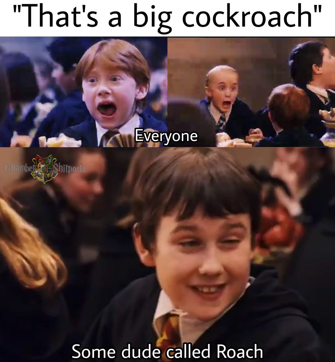 Harry Potter memes - photo caption - "That's a big cockroach" Chamber of Shitposts Everyone Some dude called Roach