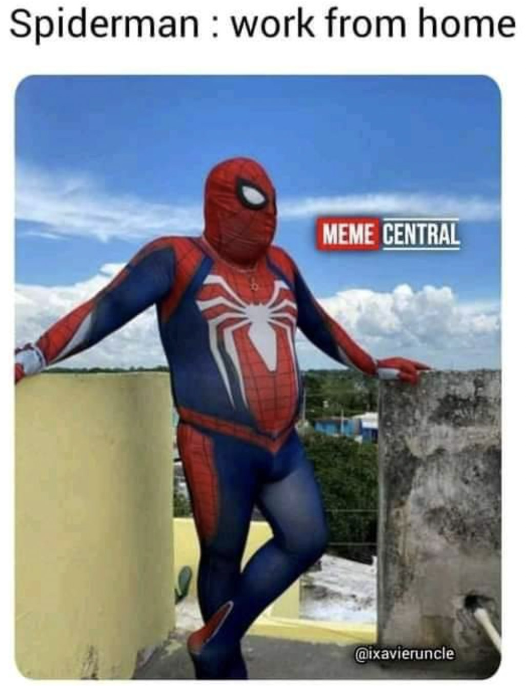 Spider-Man PS4 Memes - spider man from nani home - Spiderman work from home Meme Central