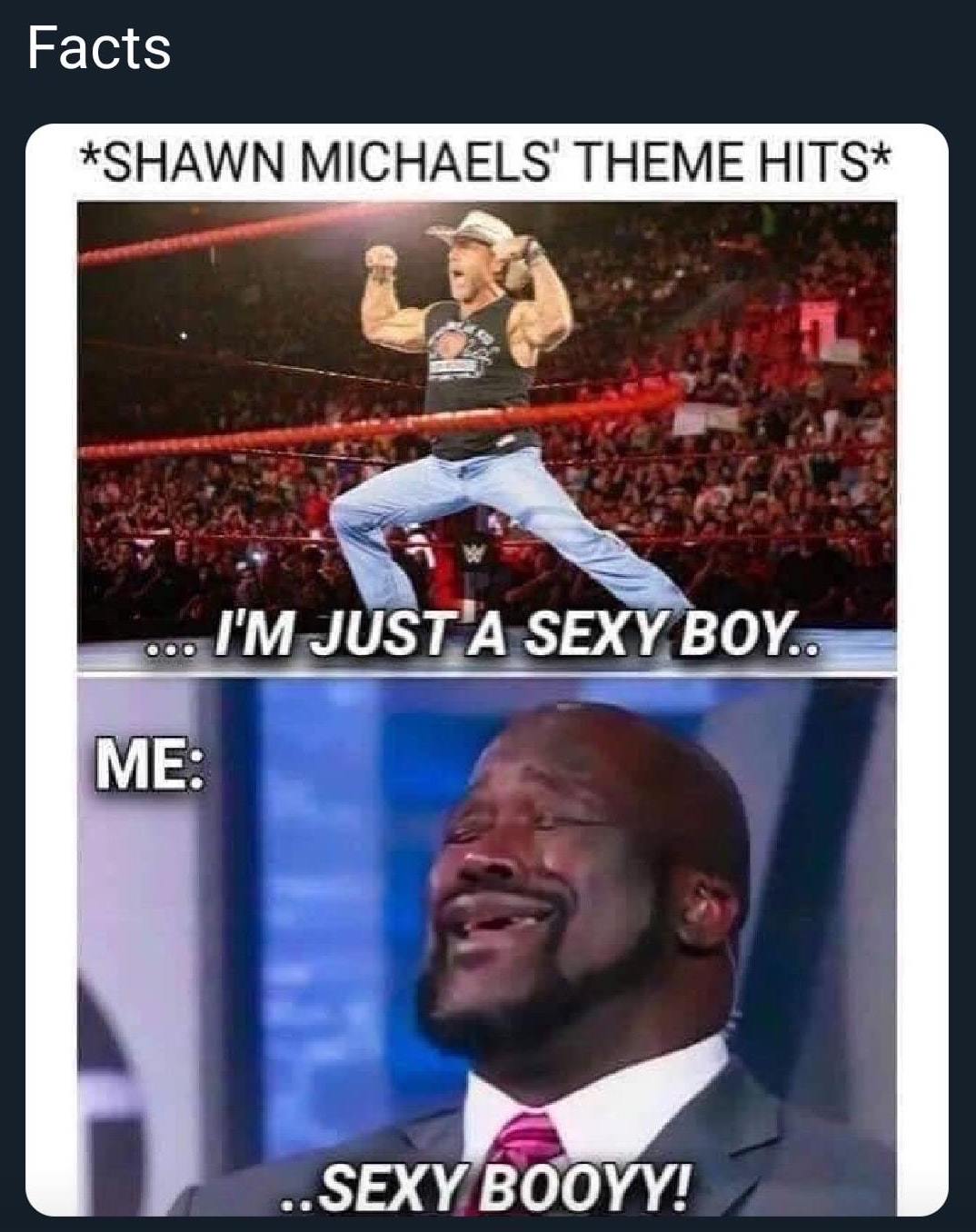 WWE wrestling memes - photo caption - Facts Shawn Michaels' Theme Hits ... I'M Just A Sexy Boy.. Me ..Sexy Booyy!