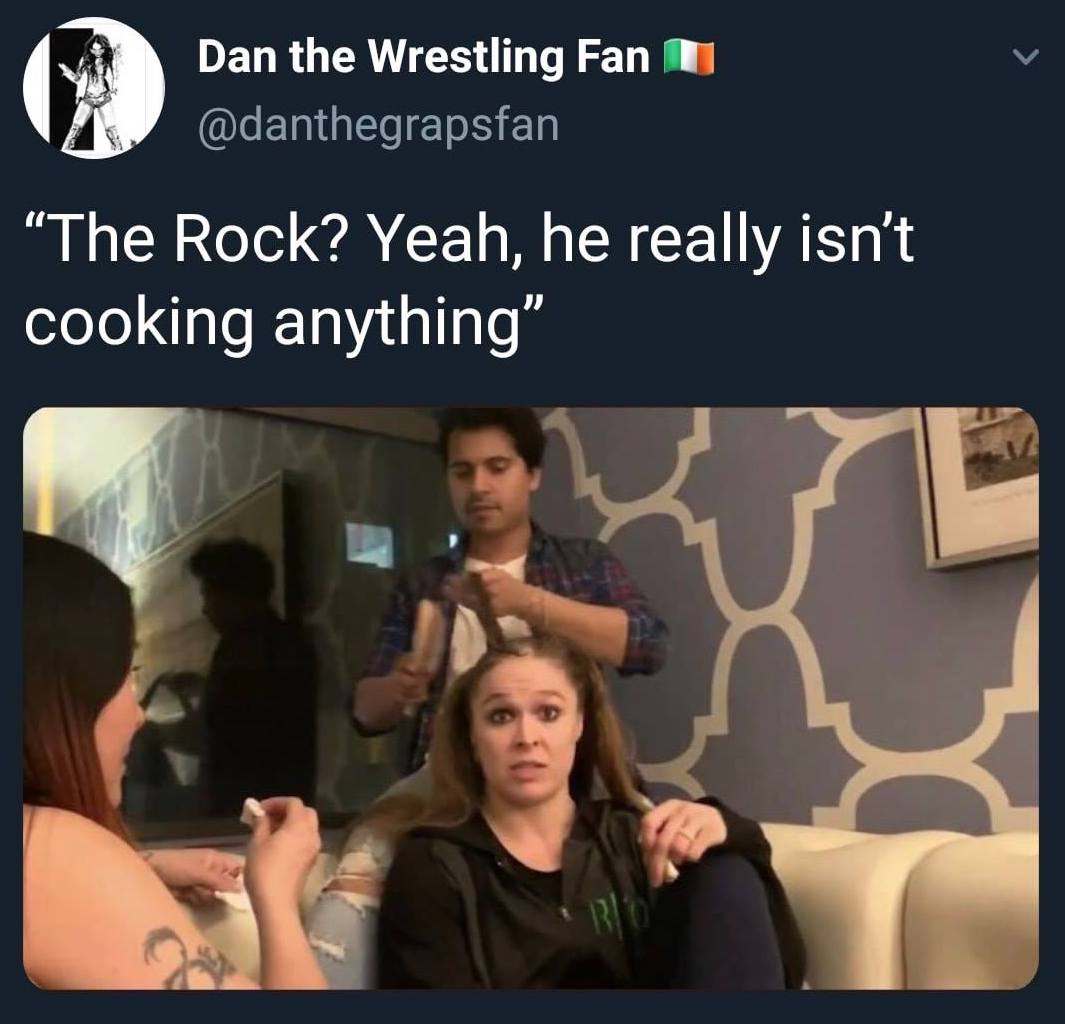 WWE wrestling memes - tivo research and analytics - Dan the Wrestling Fan "The Rock? Yeah, he really isn't cooking anything" 00