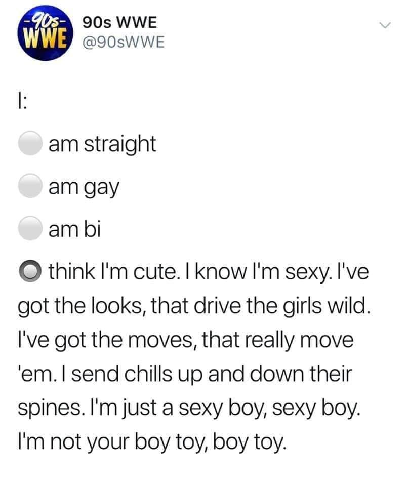 WWE wrestling memes - document - 90s 90s Wwe Wwe 1 am straight am gay am bi O think I'm cute. I know I'm sexy. I've got the looks, that drive the girls wild. I've got the moves, that really move 'em. I send chills up and down their spines. I'm just a sexy
