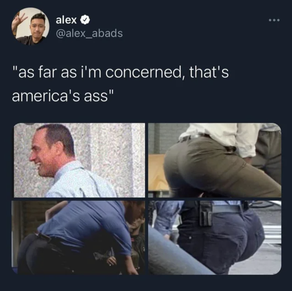 Law & Order: SVU memes - arm - alex "as far as i'm concerned, that's america's ass"