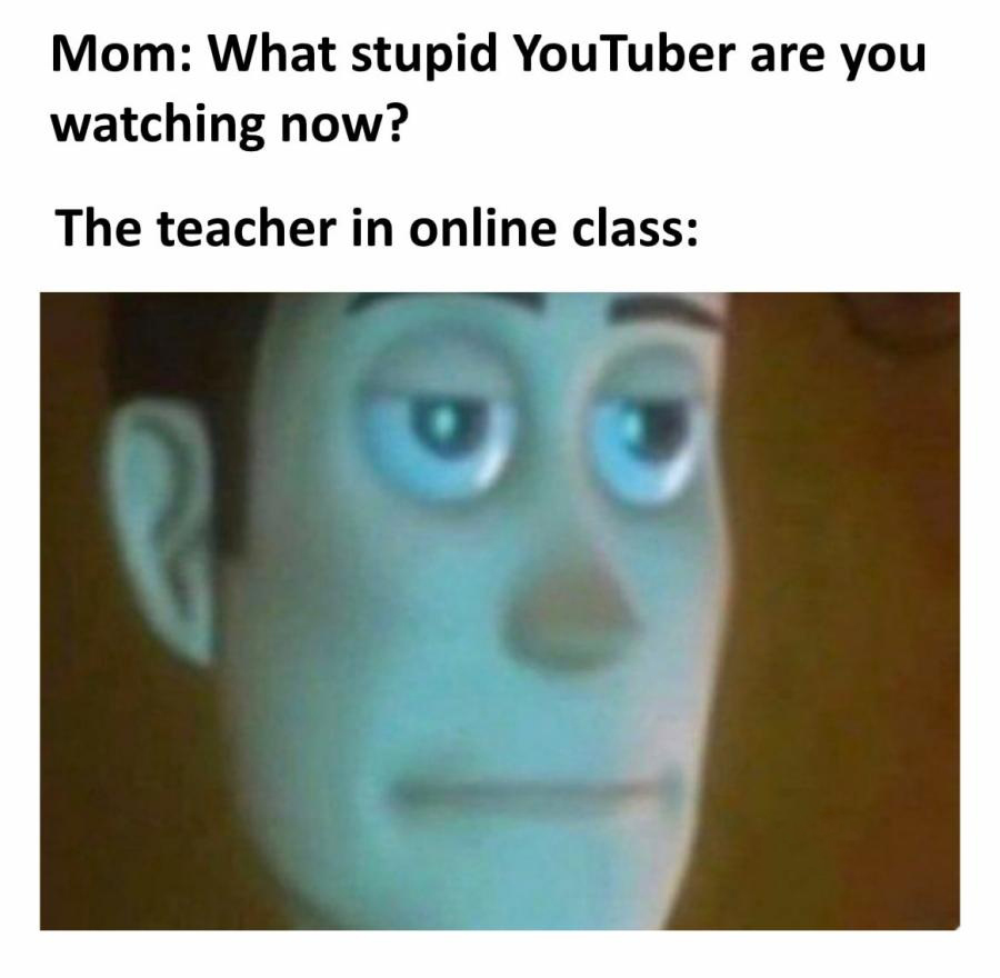 dank memes and pics - memes for your teacher - Mom What stupid YouTuber are you watching now? The teacher in online class