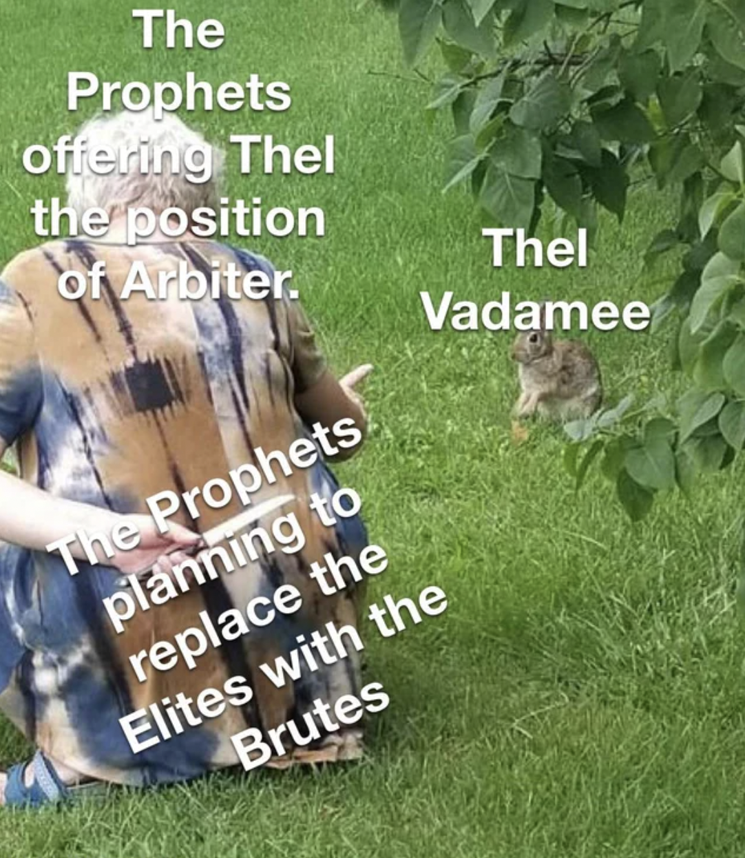 Halo Memes Co-Op - grass - The Prophets offering Thel the position of Arbiter. The Prophets planning to replace the Elites with the Brutes Thel Vadamee