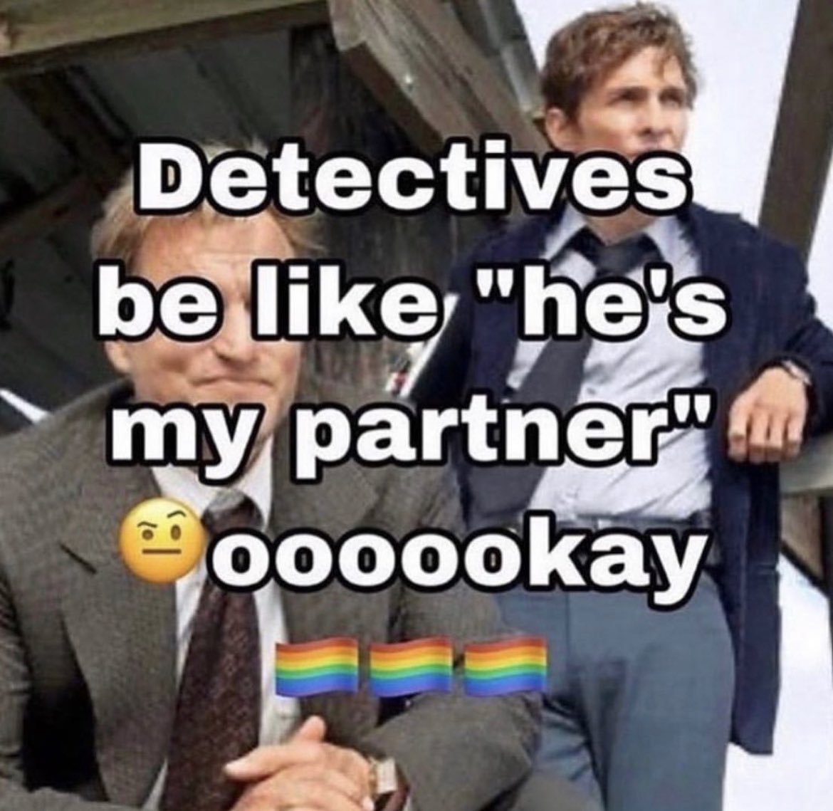 True Detective show memes - cool - Detectives be "he's my partner" oooookay