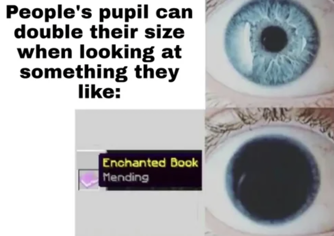 Minecraft Memes - human eye can expand - People's pupil can double their size when looking at something they Enchanted Book Mending