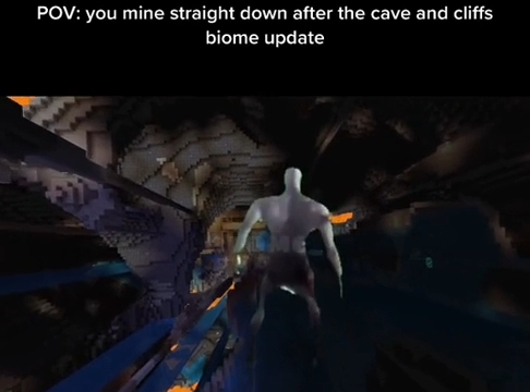 Minecraft Memes - pc game - Pov you mine straight down after the cave and cliffs biome update