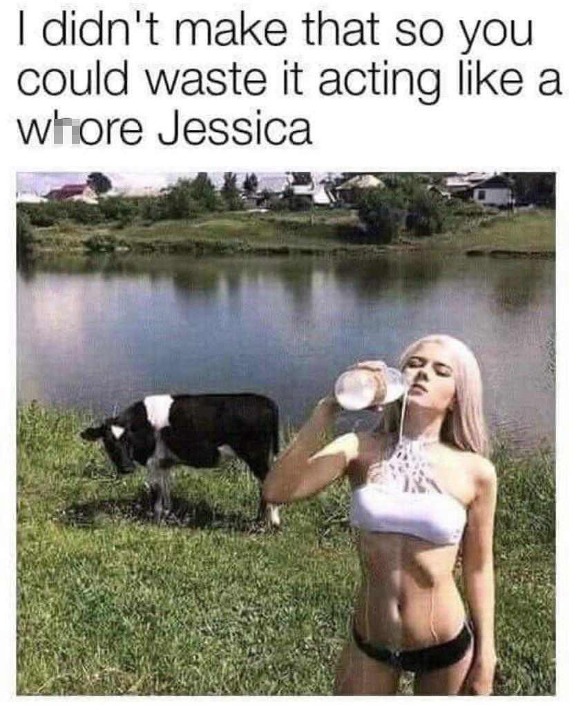 cow meme 2020 - I didn't make that so you could waste it acting a whore Jessica
