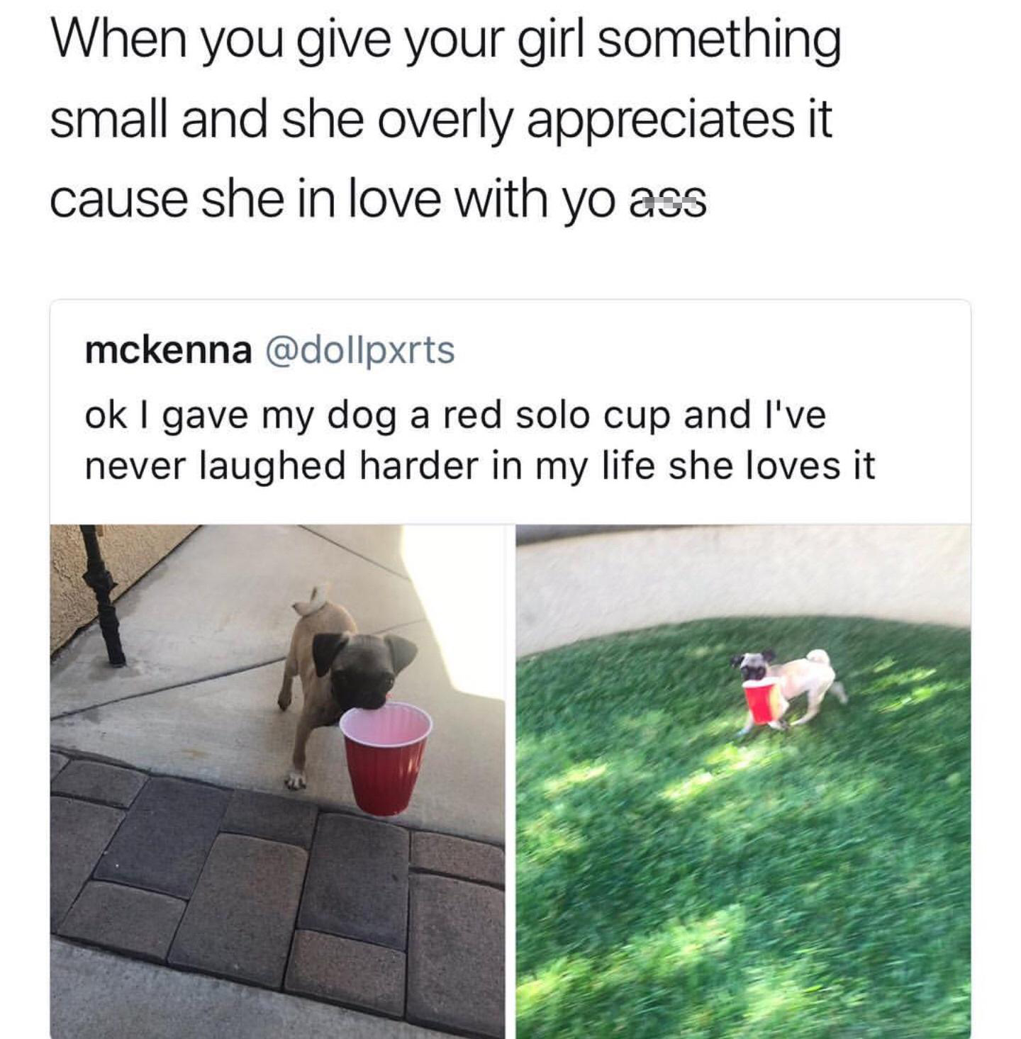 grass - When you give your girl something small and she overly appreciates it cause she in love with yo ass mckenna ok I gave my dog a red solo cup and I've never laughed harder in my life she loves it