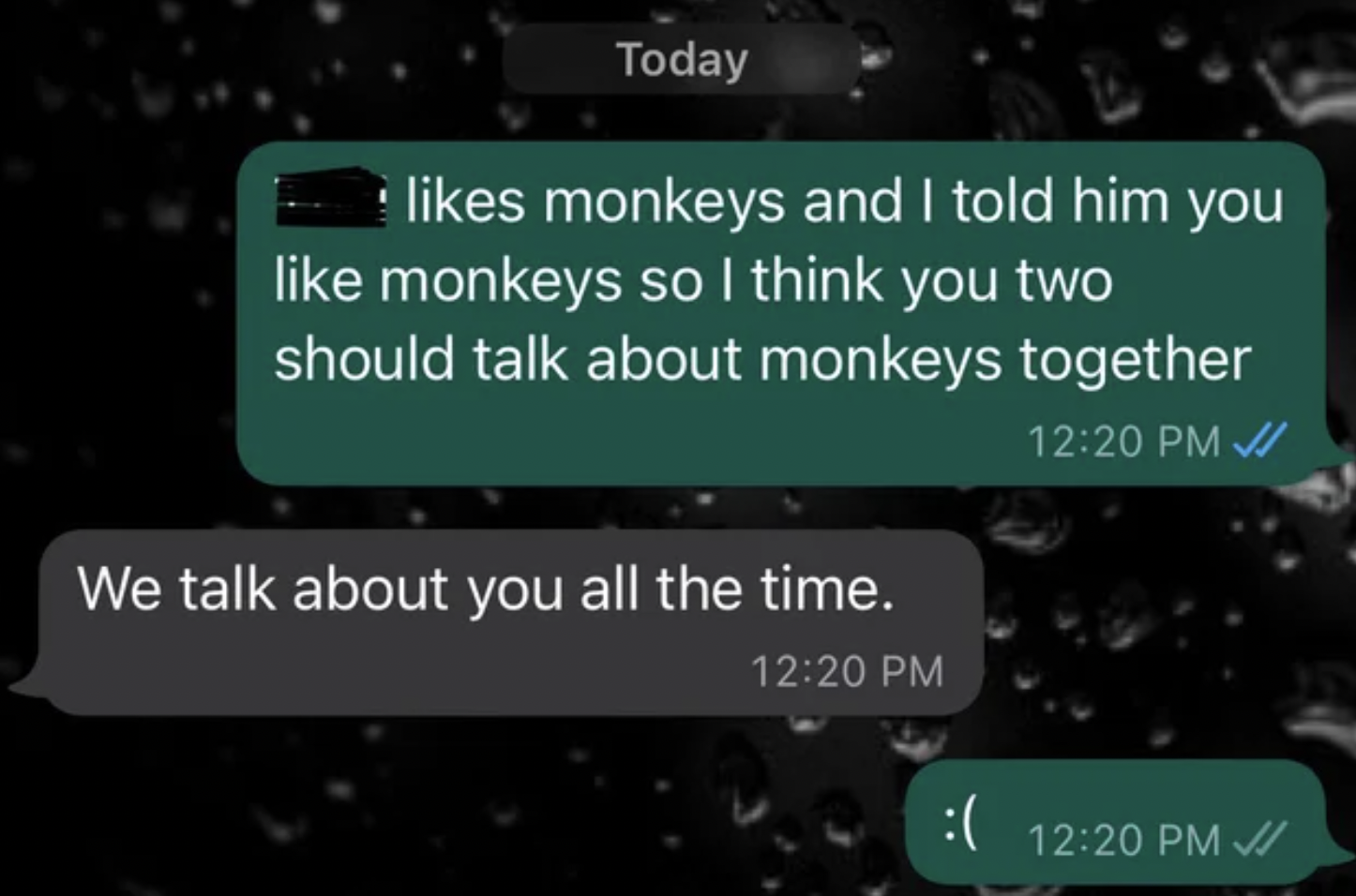 Murdered by Words - multimedia - Today monkeys and I told him you monkeys so I think you two should talk about monkeys together We talk about you all the time.