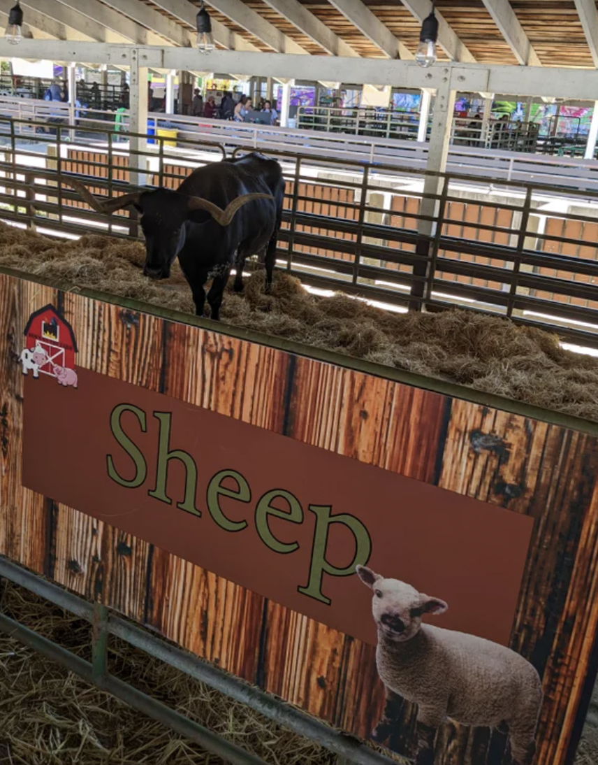 One Job Fails - stall - Sheep