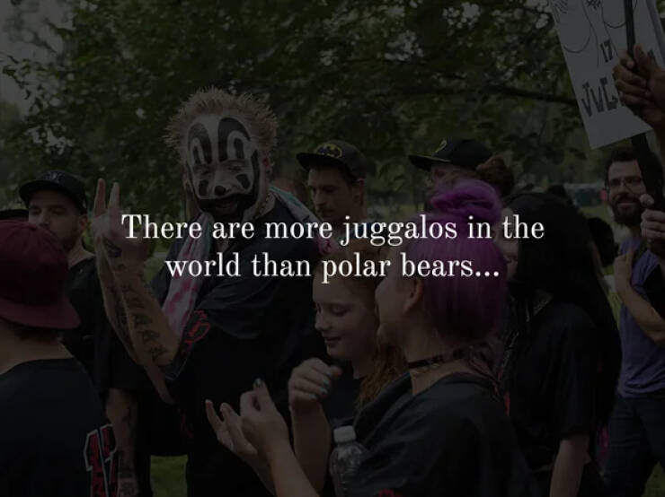 WTF Wednesday creepy pics - juggalo march in 2017 - M There are more juggalos in the world than polar bears... Olara 17 Vvle R