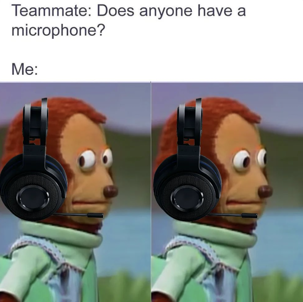 Gaming memes - Teammate Does anyone have a microphone? Me