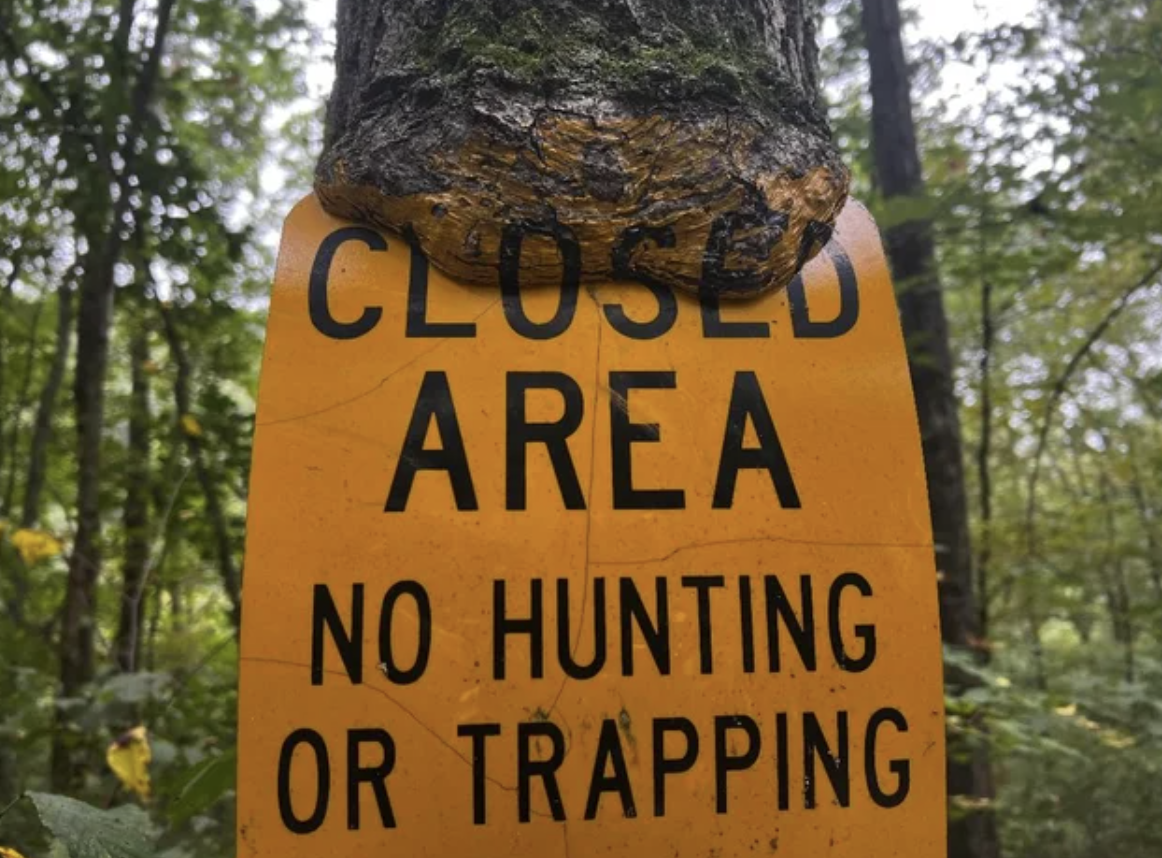 Captivating pictures - sign - Closed Area No Hunting Or Trapping