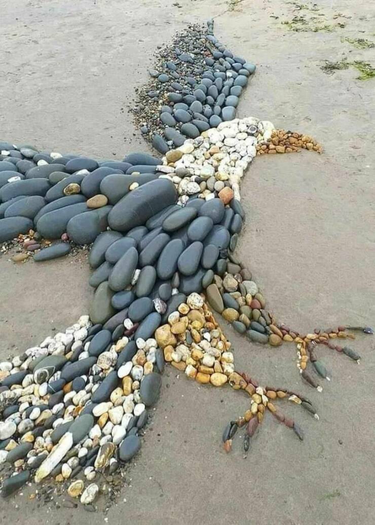 beach art made from stones