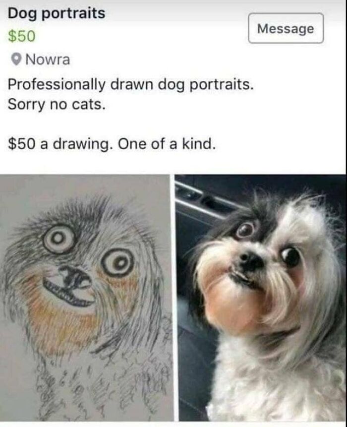 WTF Wednesday creepy pics - craigslist memes - Dog portraits $50 Nowra Professionally drawn dog portraits. Sorry no cats. $50 a drawing. One of a kind. Vecinad Message