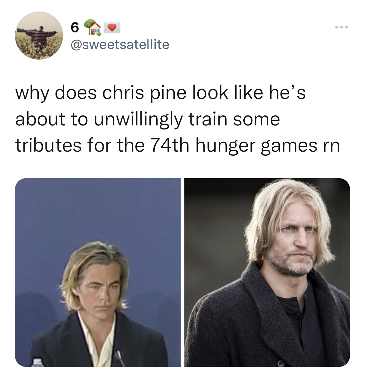 Chris Pine Venice Film Festival Memes - human behavior - 6 www. why does chris pine look he's about to unwillingly train some tributes for the 74th hunger games rn