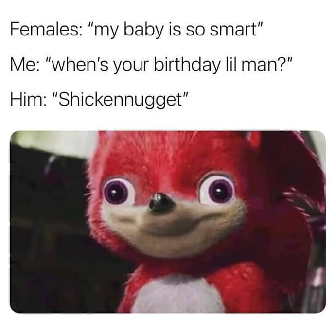 daily dose of randoms - shickennugget meme - Females "my baby is so smart" Me "when's your birthday lil man?" Him "Shickennugget"
