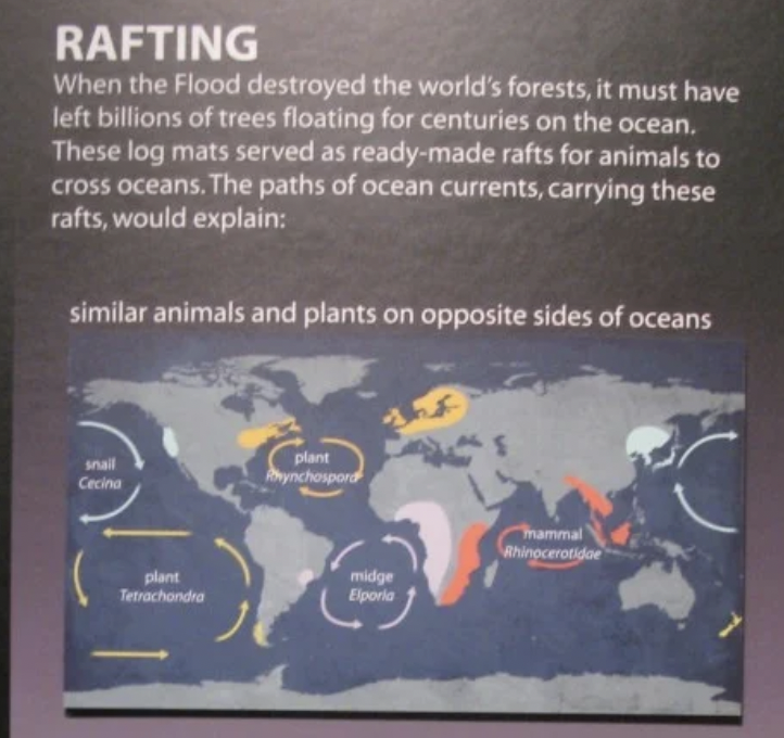 Confidently Incorrect - futuristic world map - Rafting When the Flood destroyed the world's forests, it must have left billions of trees floating for centuries on the ocean. These log mats served as readymade rafts for animals to cross oceans. The paths o