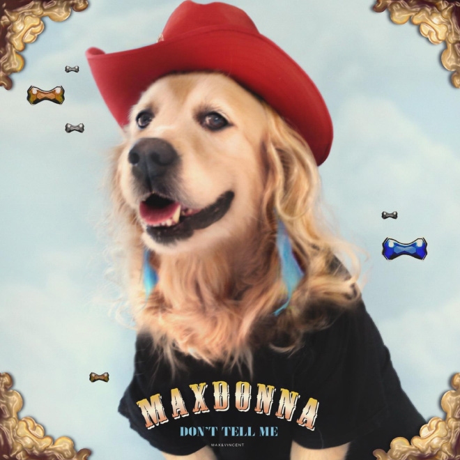 Dog Recreates Iconic Madonna Photos - dog - 1 Don'T Tell Me
