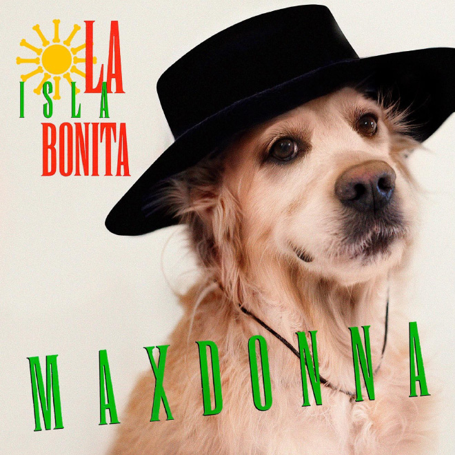 Dog Recreates Iconic Madonna Photos - dog madonna la isla bonita album
