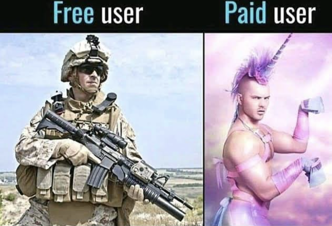Gaming memes - unicorn glamour shot - Free user Paid user