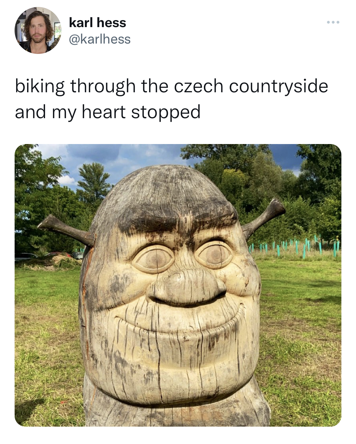 Fresh Daily Tweets - tree - karl hess biking through the czech countryside and my heart stopped