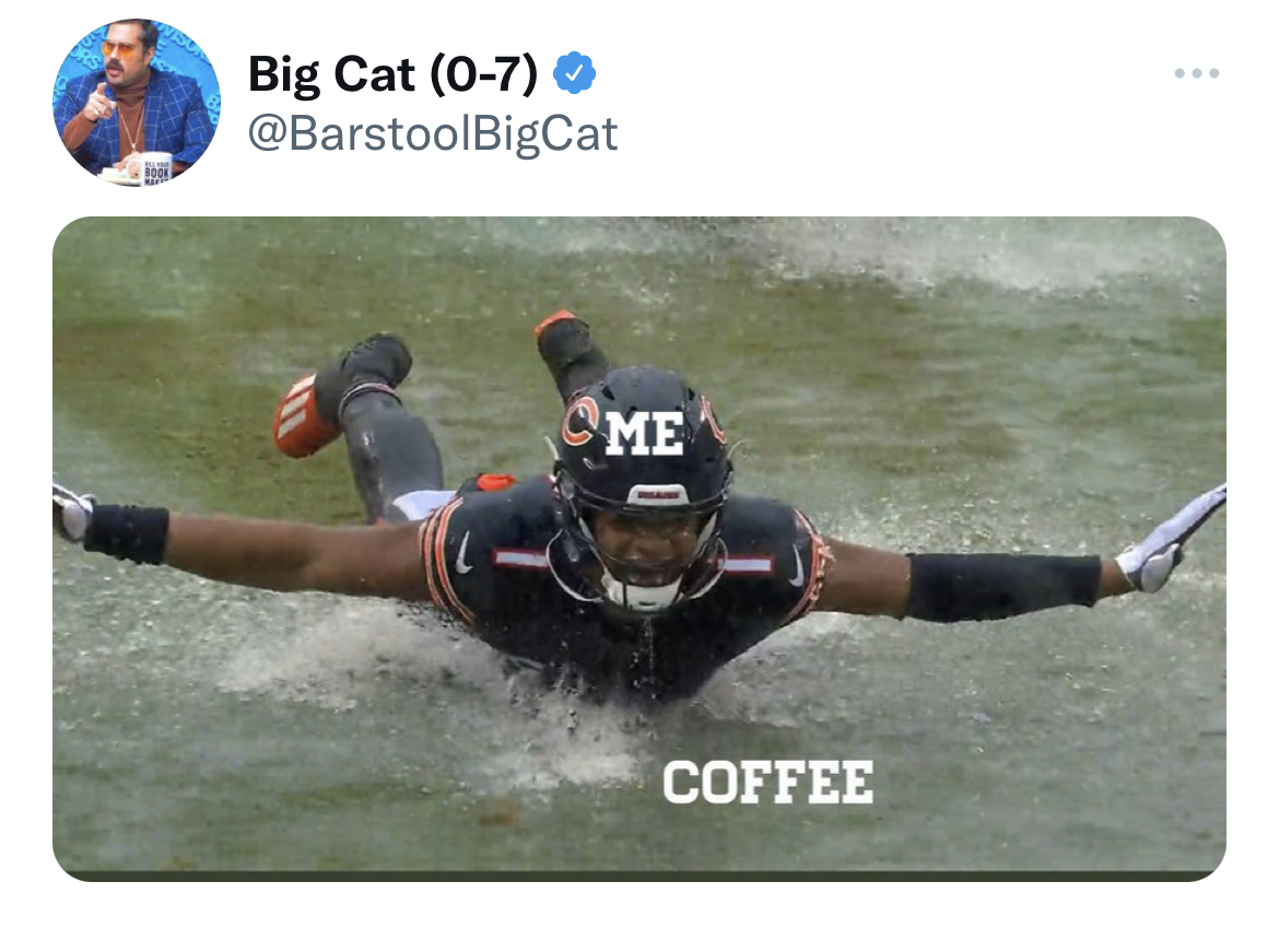 Fresh Daily Tweets - water - Big Cat 07 Me Coffee ...