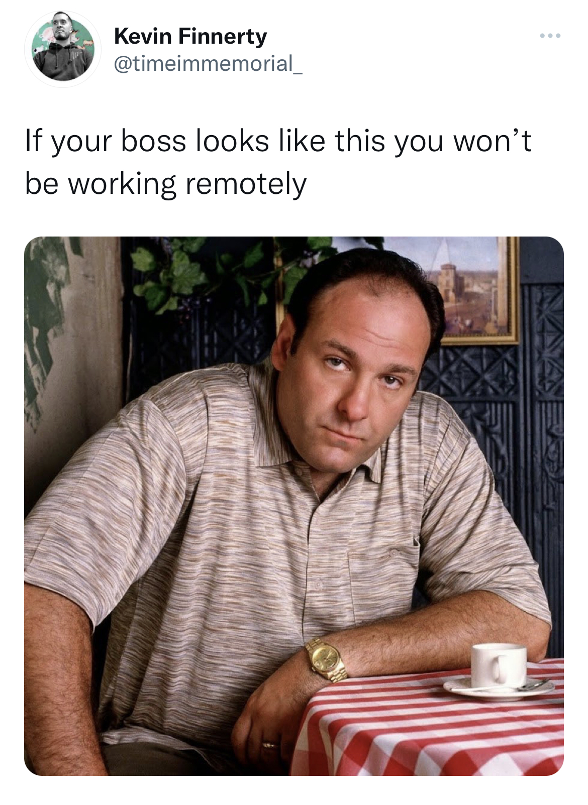 Funny and Fresh Tweets - james gandolfini - Kevin Finnerty If your boss looks this you won't be working remotely Siser