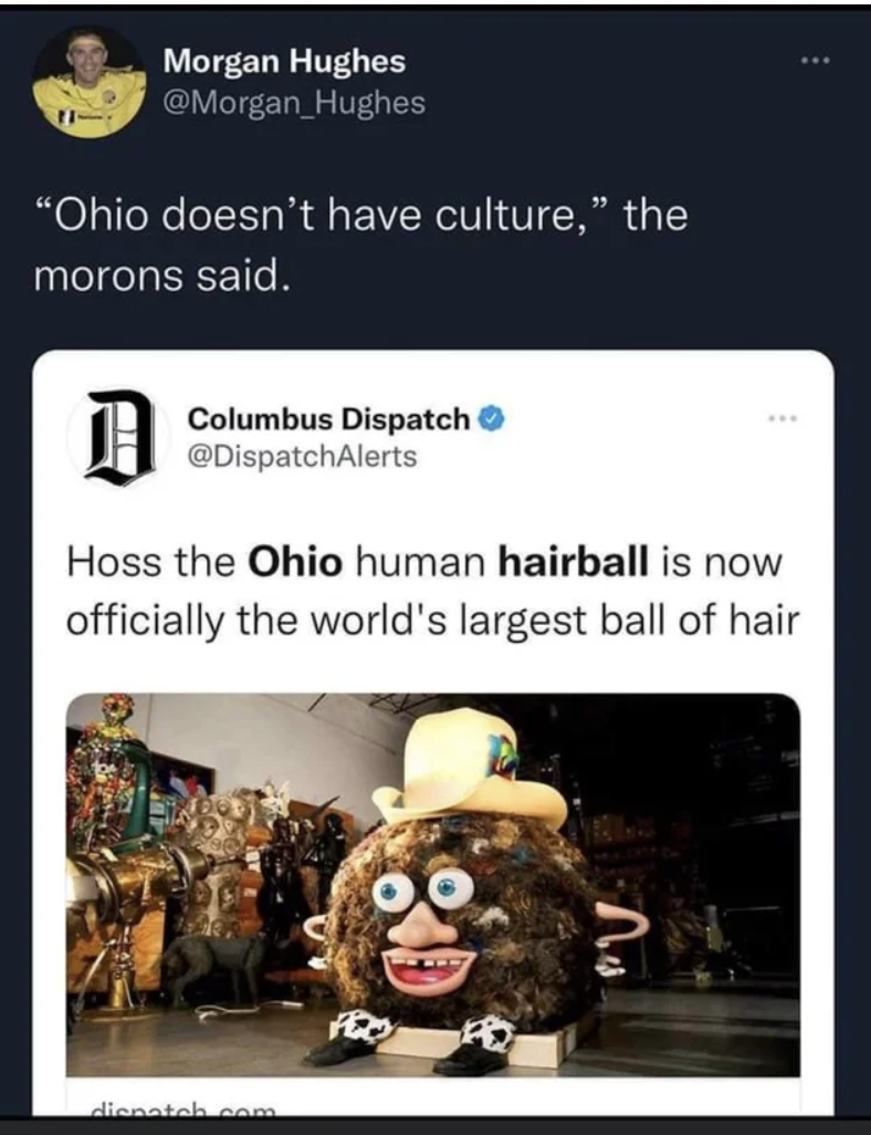 Ohio Memes - media - Morgan Hughes Hughes "Ohio doesn't have culture," the morons said. D Columbus Dispatch Hoss the Ohio human hairball is now officially the world's largest ball of hair dispatch.com "V