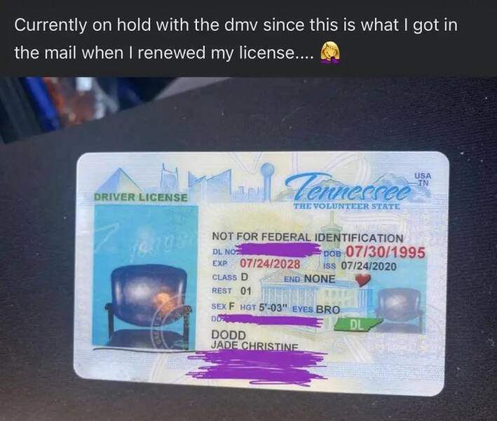 people having a bad day - drivers license chair - Currently on hold with the dmv since this is what I got in the mail when I renewed my license.... Driver License & Tenneccee The Volunteer State Not For Federal Identification Dl No Exp 07242028 Class D Re